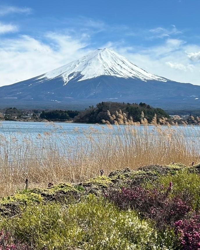 富士山tate